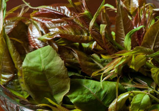 薺菜和香椿能一起吃嗎？薺菜和香椿一起吃好嗎？