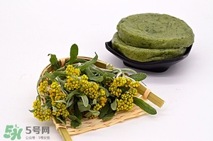 鼠曲草的功效與作用 鼠曲草怎么吃 鼠曲草的功效與作用 鼠曲草怎么吃