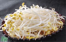 香椿和豆芽能一起吃嗎？香椿豆芽的做法大全