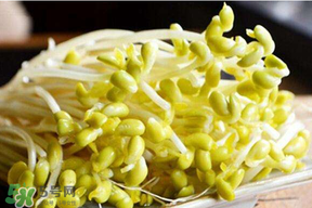 香椿和豆芽能一起吃嗎？香椿豆芽的做法大全