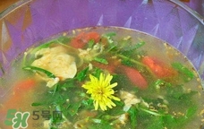 蒲公英根可以煲湯嗎?蒲公英根怎么熬湯藥? 蒲公英根可以煲湯嗎?蒲公英根怎么熬湯藥?