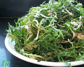 婆婆丁怎么吃？婆婆丁怎么吃最好？