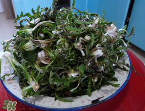 婆婆丁怎么吃？婆婆丁怎么吃最好？