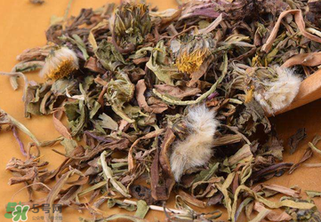 婆婆丁能治高血壓嗎？婆婆丁治高血壓是真的嗎？