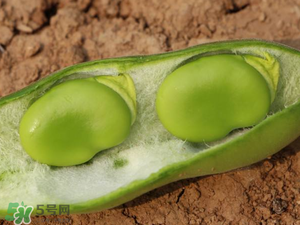 蠶豆什么時候成熟？蠶豆什么時候上市？