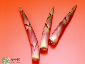 竹筍什么人不能吃？哪些人不適合吃竹筍？