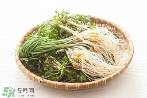 野生蒜的作用與功效 野生大蒜營(yíng)養(yǎng)價(jià)值 野生蒜的作用與功效 野生大蒜營(yíng)養(yǎng)價(jià)值