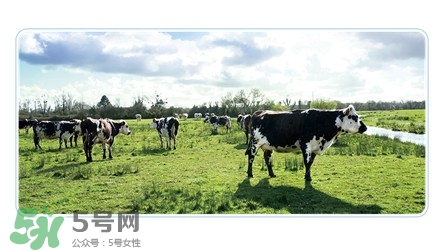 健康時光有機(jī)奶粉怎么樣？健康時光有機(jī)奶粉如何？