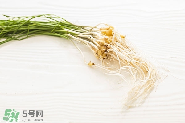 野生蒜的作用與功效 野生大蒜營(yíng)養(yǎng)價(jià)值 野生蒜的作用與功效 野生大蒜營(yíng)養(yǎng)價(jià)值