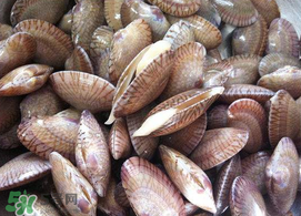 花甲可以放冰箱嗎？花甲放冰箱能放多久？