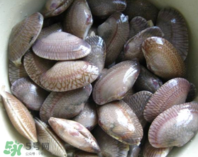 花甲可以放冰箱嗎？花甲放冰箱能放多久？