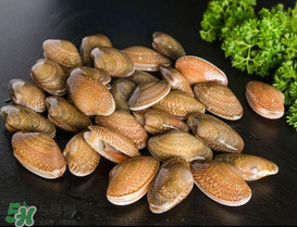 花甲可以放冰箱嗎？花甲放冰箱能放多久？