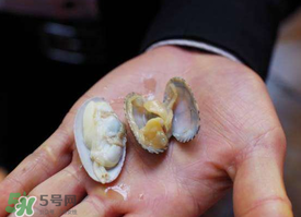 花甲怎么養(yǎng)不會死？花甲怎么養(yǎng)到用第二天？