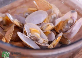 花甲怎么養(yǎng)不會死？花甲怎么養(yǎng)到用第二天？