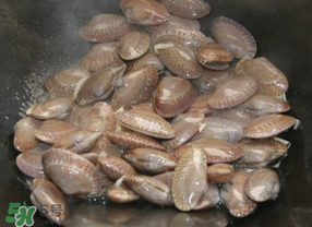 花甲不開口怎么辦？怎么讓花甲開口？