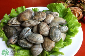 花甲不開口怎么辦？怎么讓花甲開口？