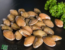 花甲為什么會苦？花甲有苦味什么原因？