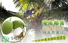 青椰子肉能吃嗎?青椰子肉怎么吃? 青椰子肉能吃嗎?青椰子肉怎么吃?