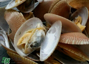 花甲怎么洗才沒沙？花甲怎么洗才干凈？