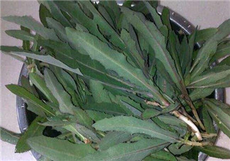 曲曲菜和花菜相克嗎？曲曲菜不能和花菜一起吃嗎？