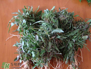 曲曲菜是苦菜嗎？曲曲菜和苦菜有什么區(qū)別？