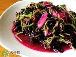 莧菜怎么摘？莧菜怎么處理