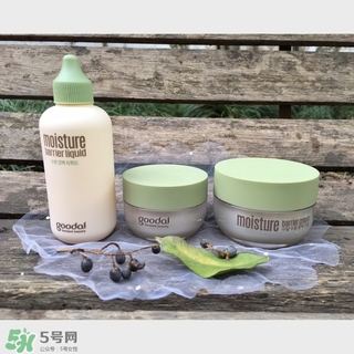 goodal果達兒是什么牌子？果達兒在韓國什么檔次