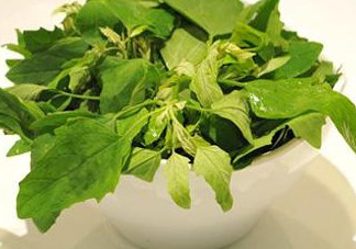 灰灰菜怎么吃？灰灰菜的吃法