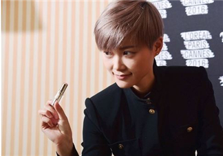 歐萊雅2017戛納電影節(jié)限量版唇膏多少錢_價格