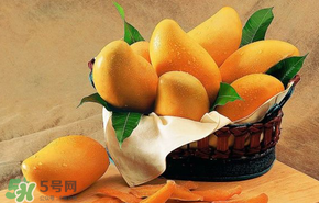 花甲可以和芒果同吃嗎？吃完花甲可以吃芒果嗎？