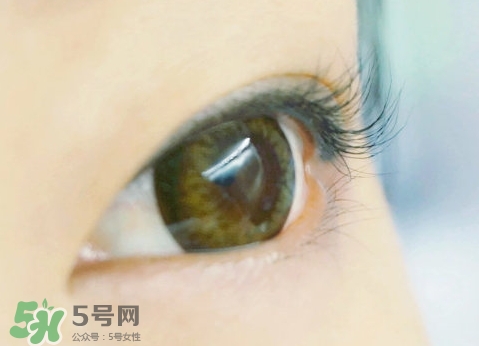 貝印和muji睫毛夾哪個(gè)好？貝印和無(wú)印良品睫毛夾對(duì)比