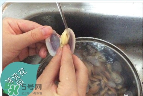 芒果螺怎么清洗？芒果螺怎么吃