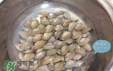 芒果螺怎么清洗？芒果螺怎么吃