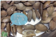 芒果螺怎么清洗？芒果螺怎么吃