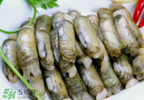 蟶子不能和什么一起吃？蟶子和什么不能一起吃？