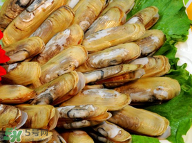 蟶子不能和什么一起吃？蟶子和什么不能一起吃？