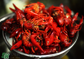 月經(jīng)可以吃油燜大蝦嗎？經(jīng)期能吃油燜大蝦嗎？