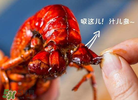 吃油燜大蝦會胖嗎？油燜大蝦的熱量是多少？