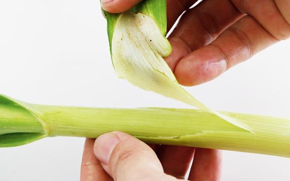 蒜苗怎么摘？蒜苗怎么處理