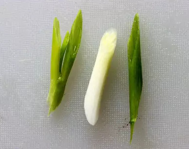 蒜苗怎么切？蒜苗如何切