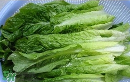 萵苣葉怎么吃？萵苣葉怎么做好吃