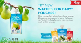 Watties果泥怎么樣？watties果泥好不好？