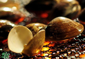 花甲不開口能吃嗎？花甲不開口是不是死了？