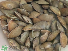 如何辨別花甲的死活？怎么辨別花甲的死活？