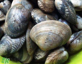 如何辨別花甲的死活？怎么辨別花甲的死活？