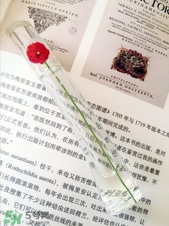 kenzo香水一枝花多少錢？kenzo一枝花香水怎么樣價格