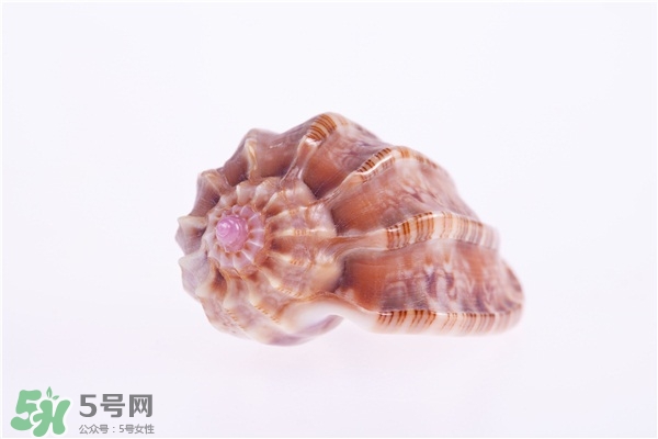 海螺的尾部能吃嗎？海螺的尾巴可以吃嗎