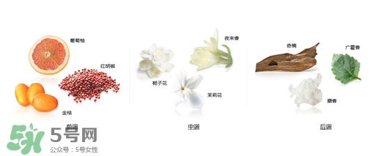 郎朗香水是什么牌子？郎朗香水是什么檔次？