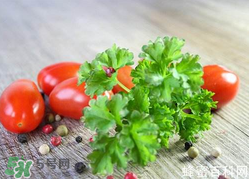 四月份可以種香菜嗎？四月份還能種香萊嗎？