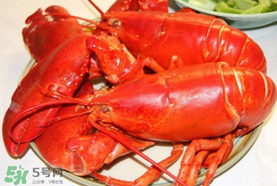 龍蝦怎么保存不會死？龍蝦怎么保存才新鮮？